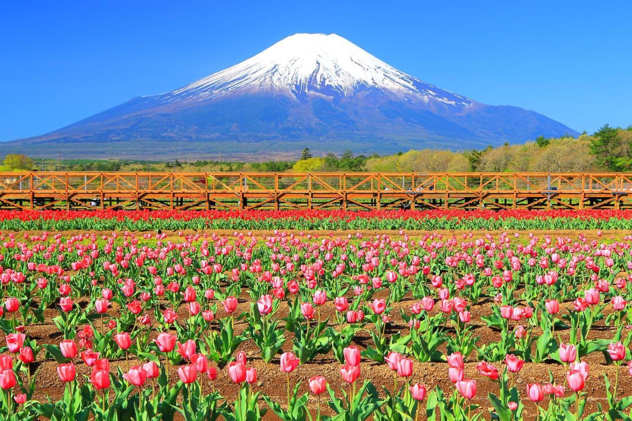 Hatago Ichiya Yamanakako Exterior photo